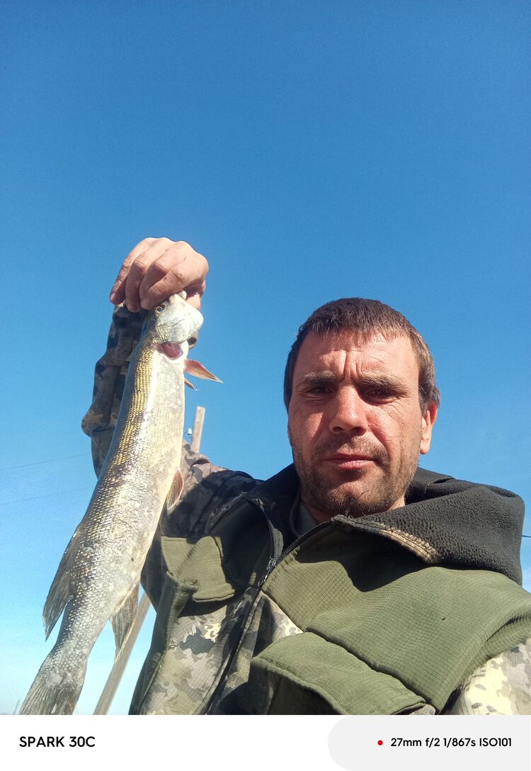 ���������� ���������, ���� ������� ����, 37 ���, ������������ ��� c�������� ���������