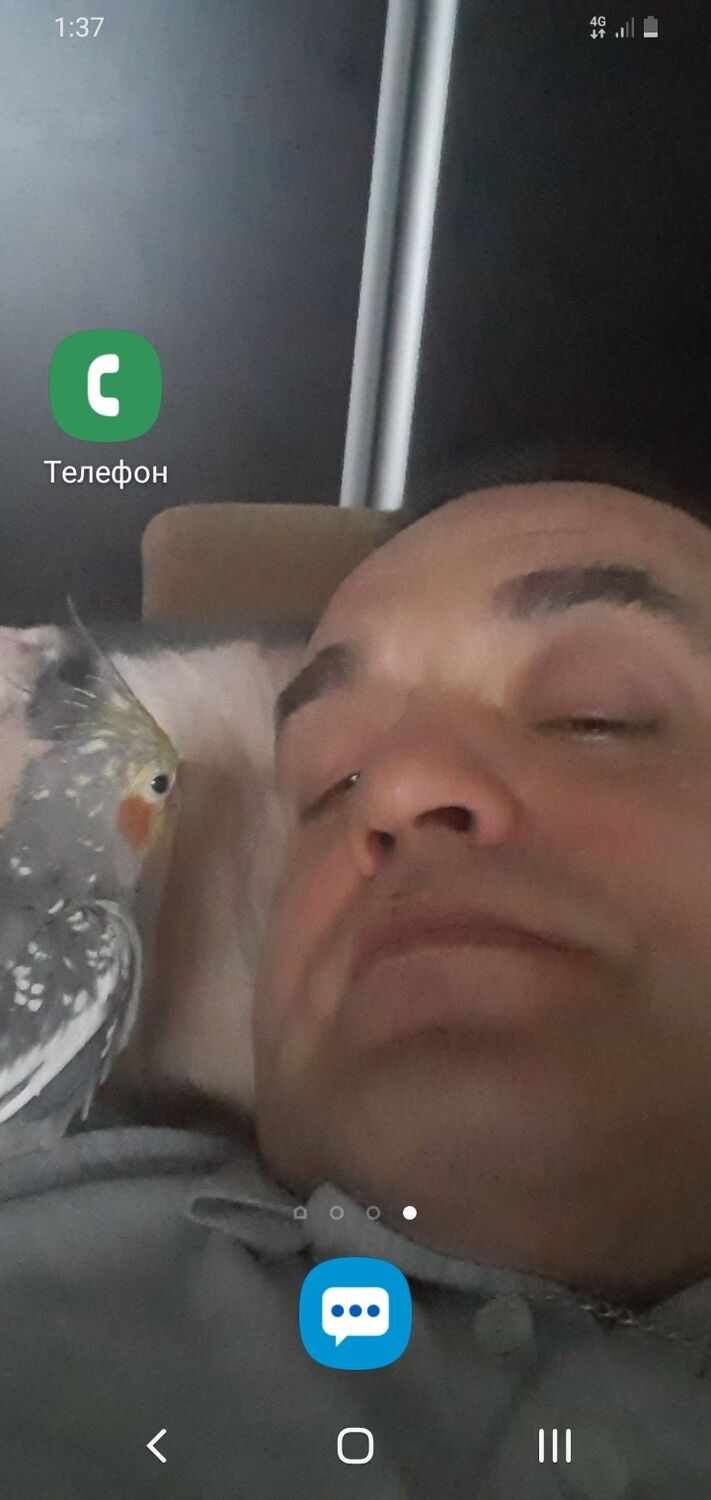 ���������� ���������, ���� ������� ������, 48 ���, ������������ ��� ������, ����� � ���������, c�������� ���������