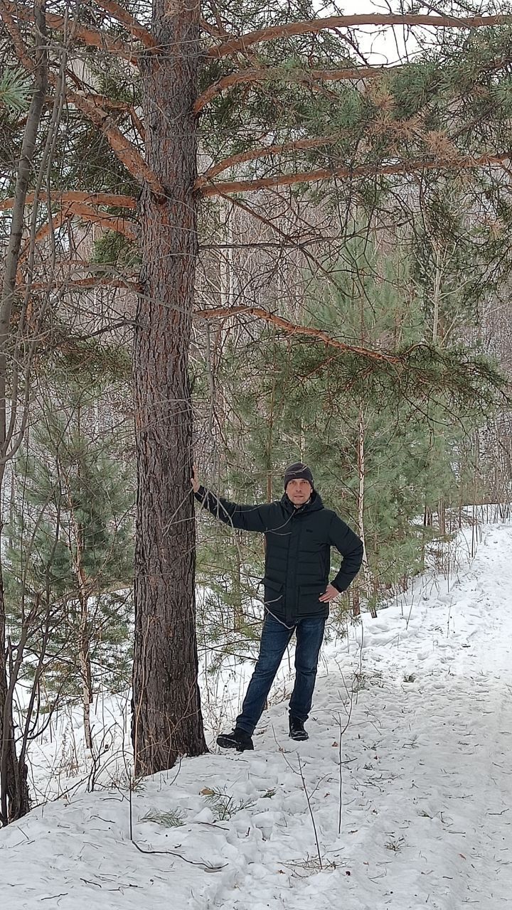 ���� 55846111 ������� ������, 47 ���, ���� ���������� � �����������