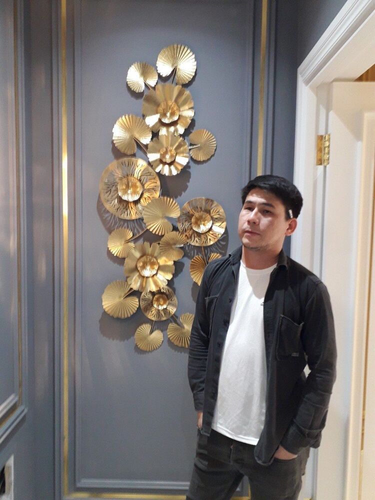  48038861  , 33 ,    