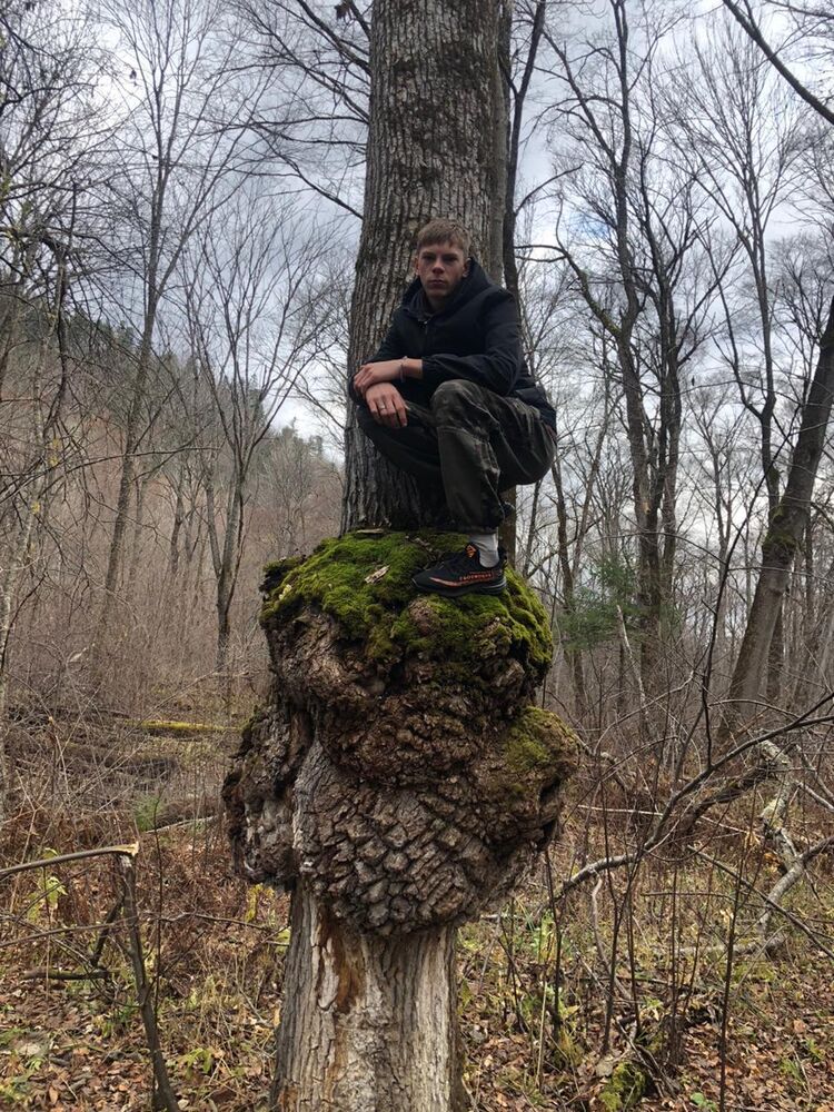 ���������� ���������, ���� ����� ����, 20 ���, ������������ ��� ������, ����� � ���������