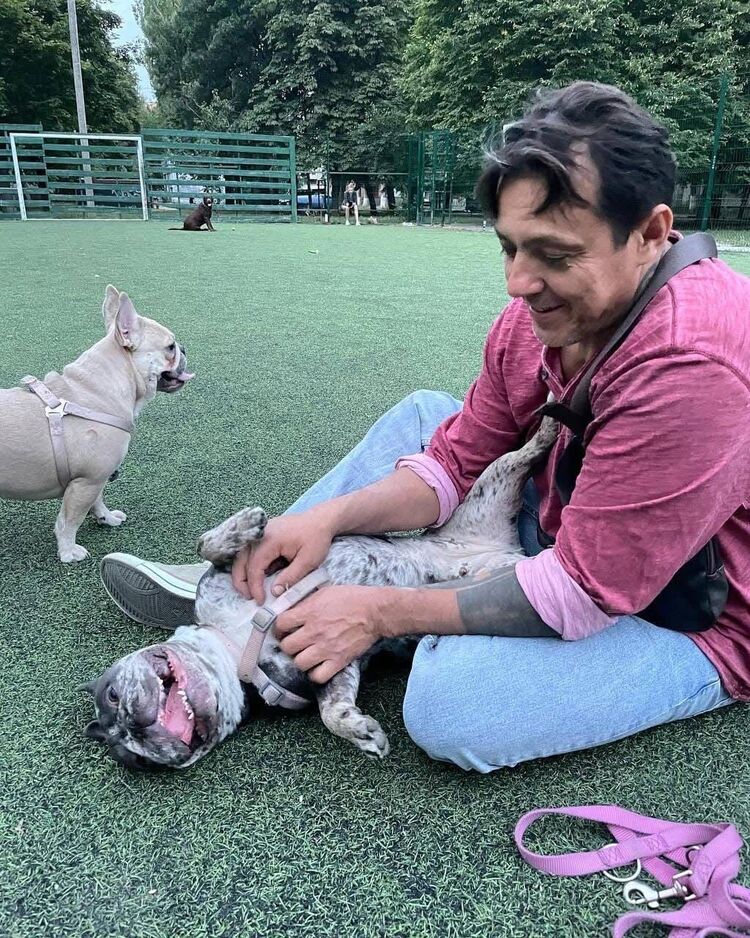 ���� 55627921 ������� ���������, 50 ���, ���� ���������� � ��������