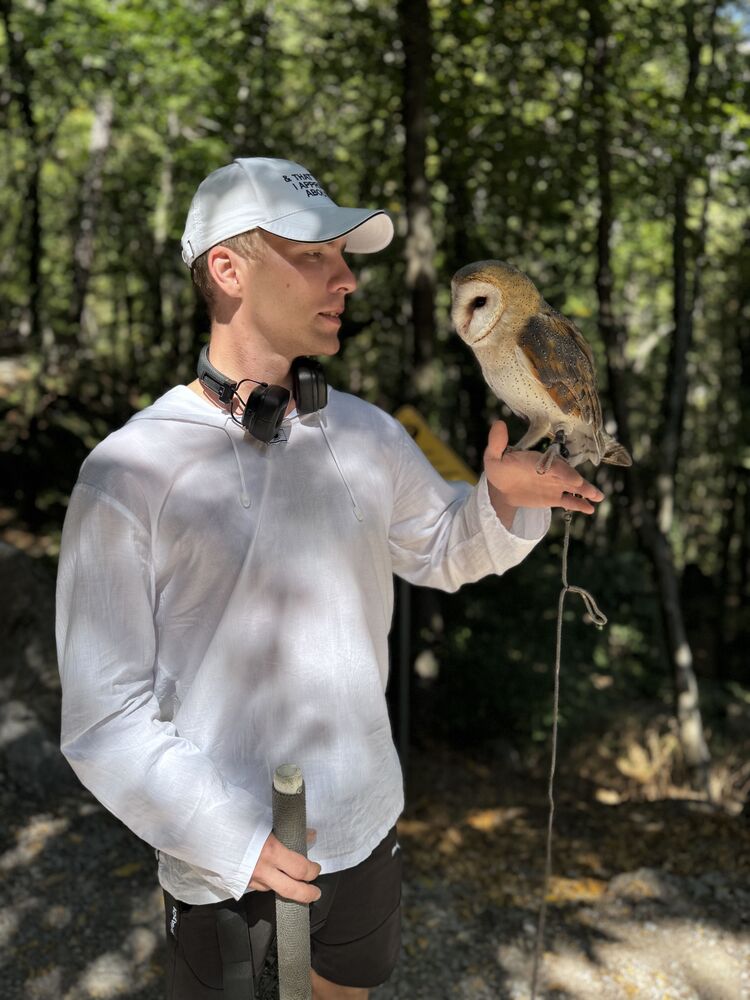 ���� 53984761 ������� ���������, 29 ���, ���� ���������� � ������