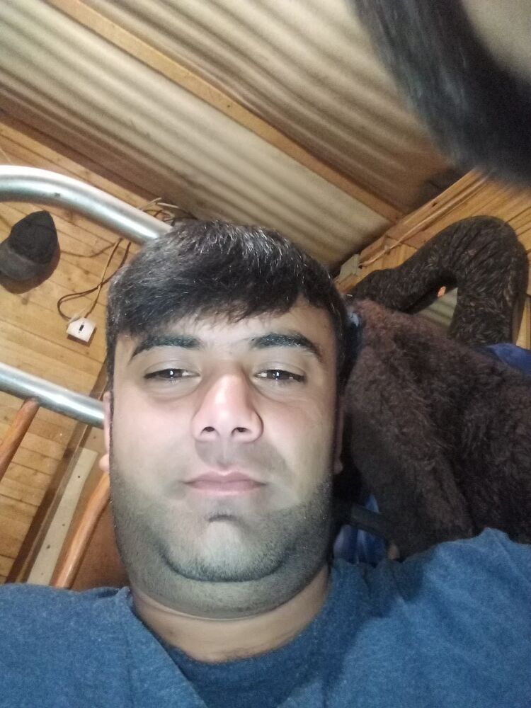 ���� 16494441 ������� �������, 38 ���, ���� ���������� � �������