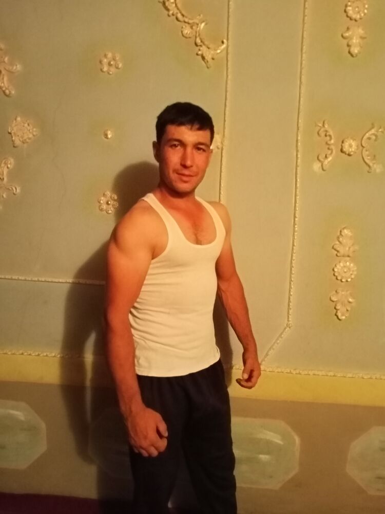  23959251  , 29 ,    
