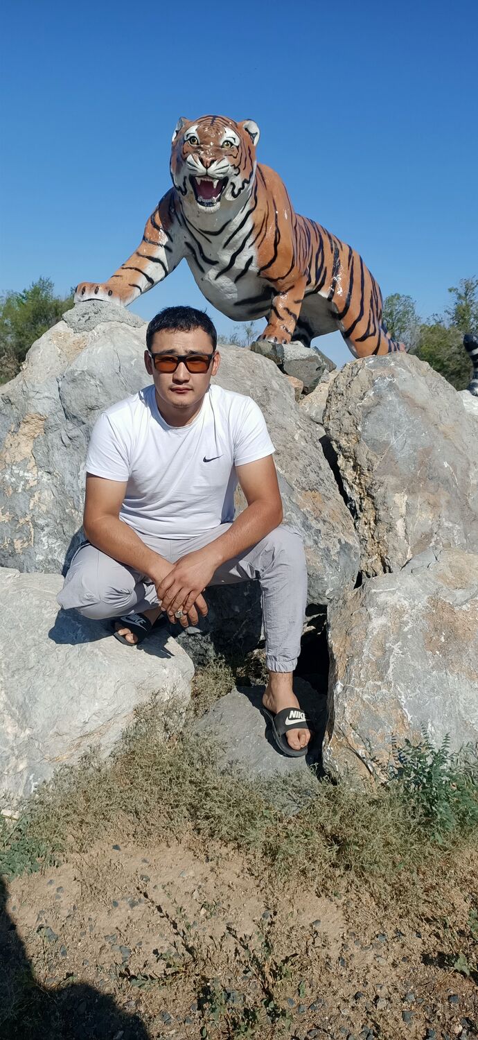 ���� 28480041 ������� �����, 33 ����, ���� ���������� � ���������