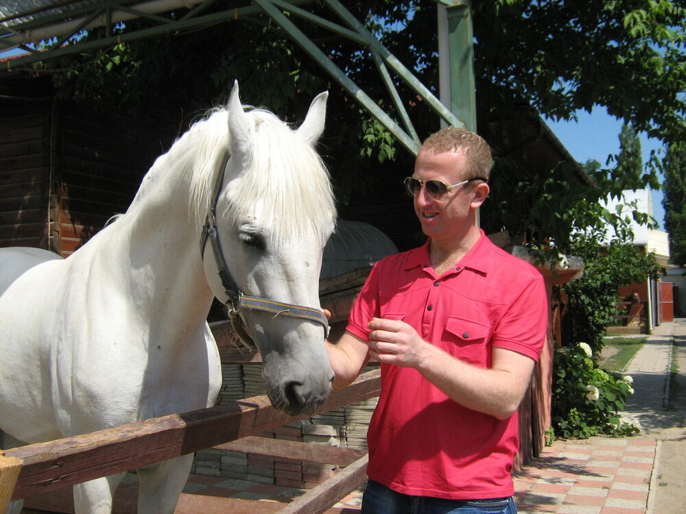 ���������� �������, ���� ������� David, 44 ����, ������������ ��� ������, ����� � ���������, c�������� ���������