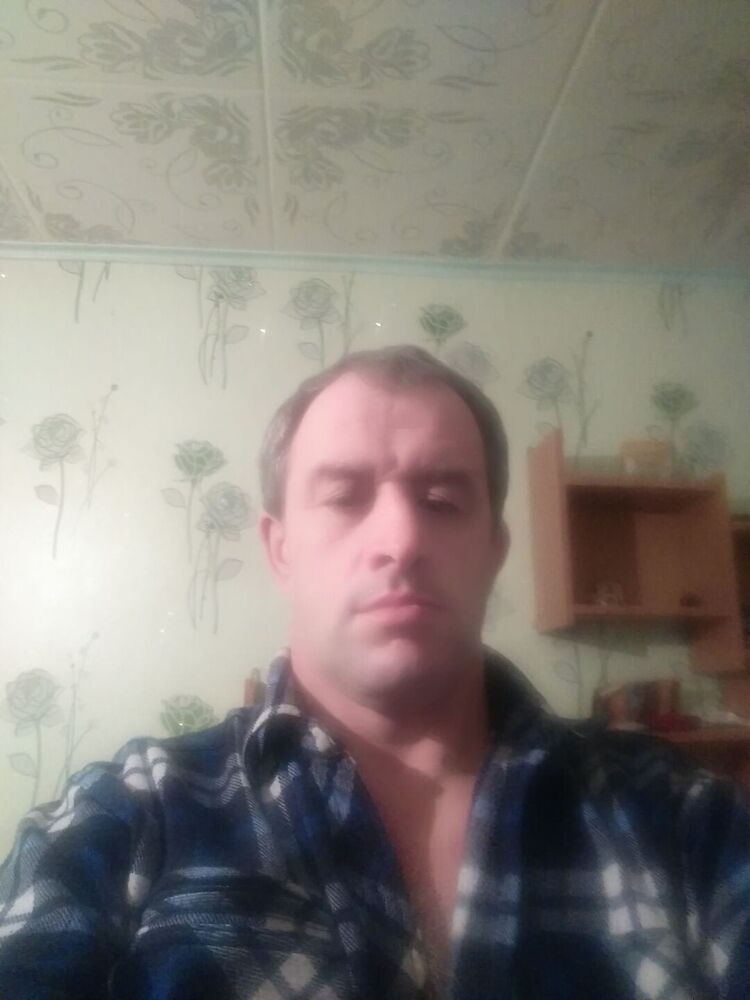  24665031  , 46 ,    