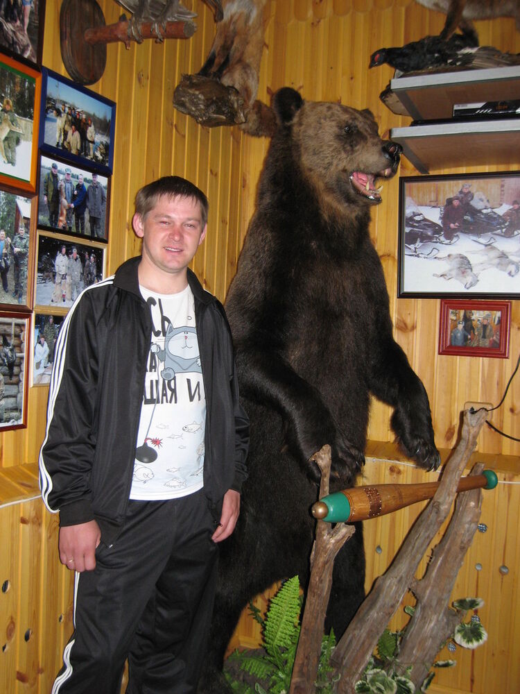 ���� 8776231 ������� ����, 38 ���, ���� ���������� � ������ ���������