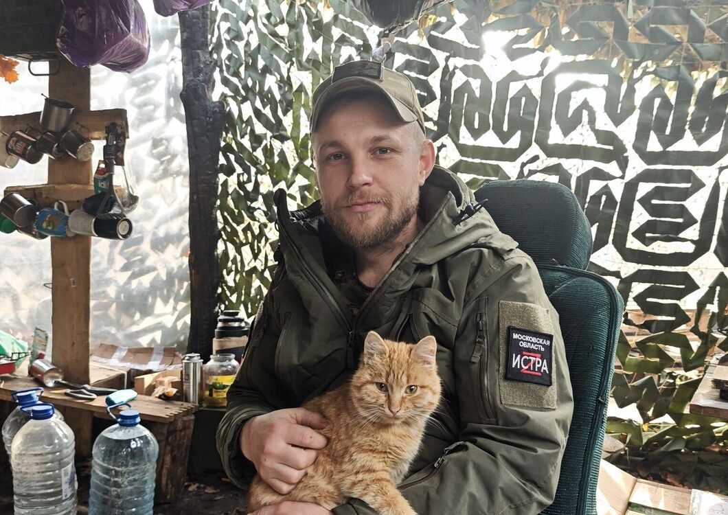 ���� 55588411 ������� ������, 33 ����, ���� ���������� � ��������