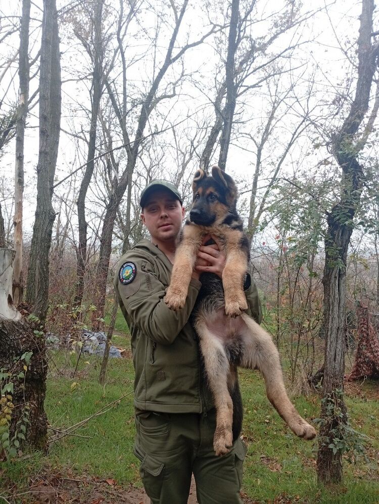 ���������� ������, ���� ������� �������, 34 ����, ������������ ��� ������, ����� � ���������, c�������� ���������, ���������