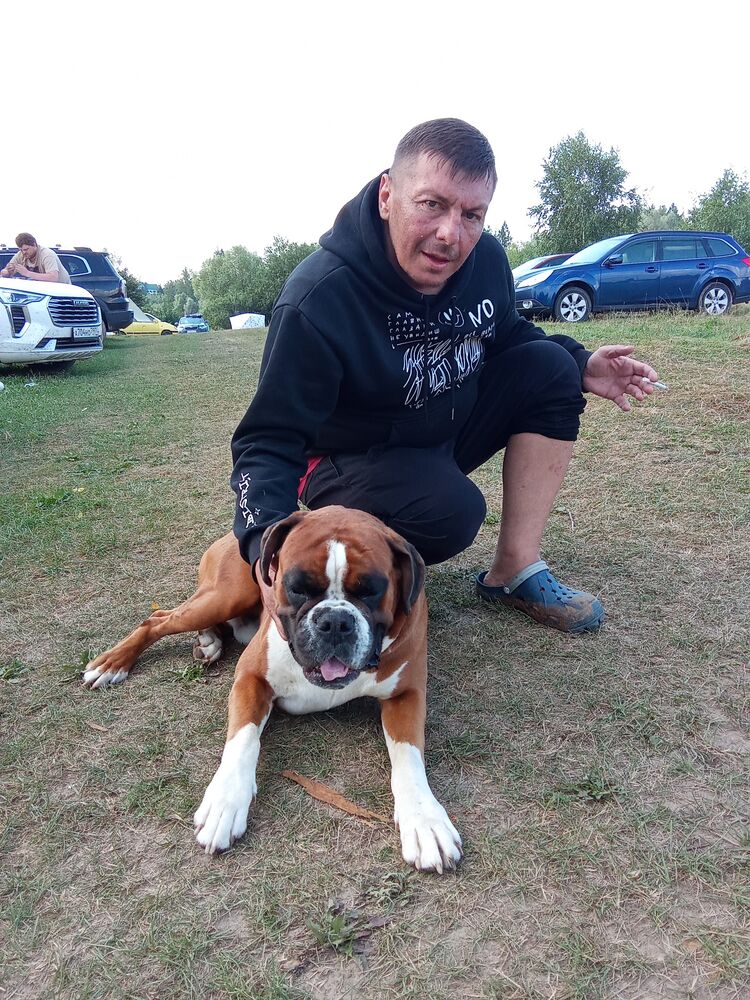 ���� 46234581 ������� �������, 44 ����, ���� ���������� � ������