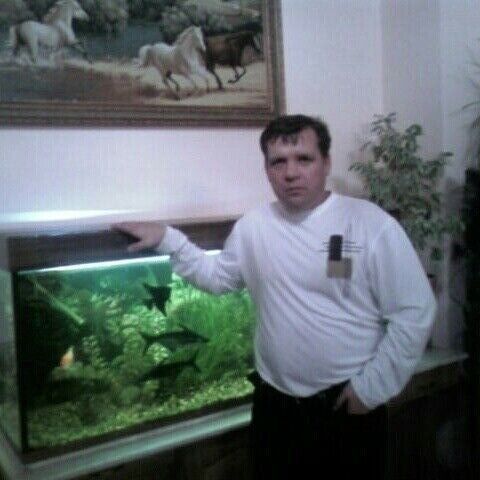 ���� 24744881 ������� ��������, 43 ����, ���� ���������� � ����������