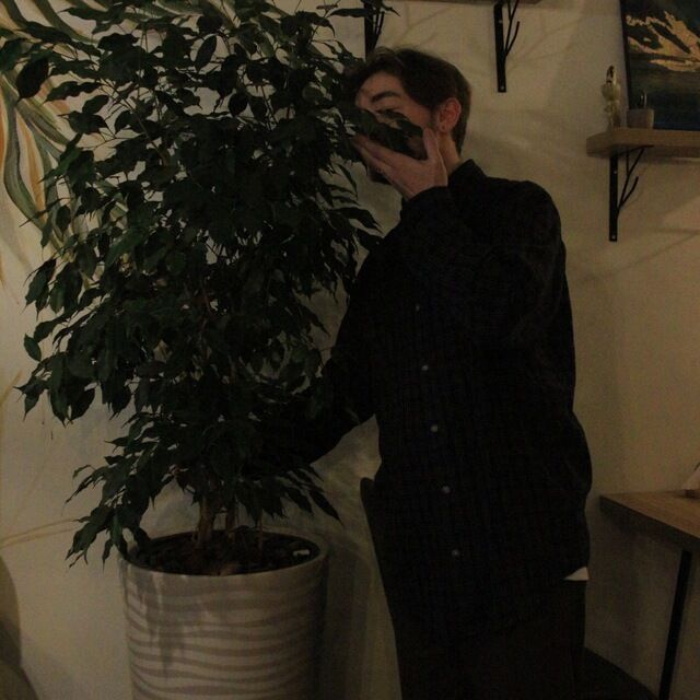 ���� 39356801 ����� ����, 23 ����, ���� ���������� � ������