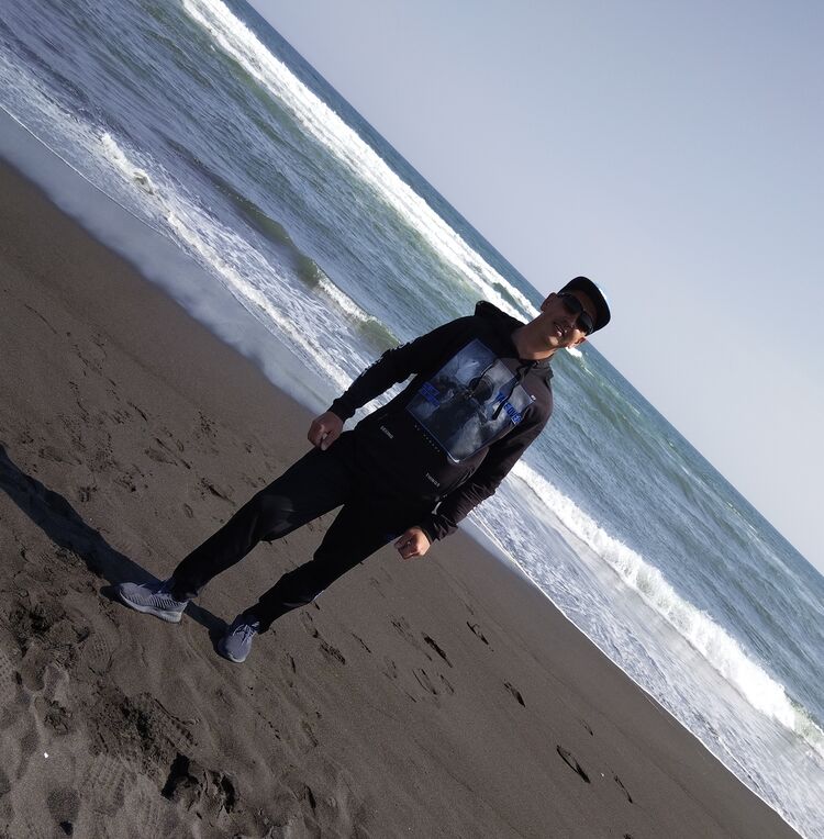  29811571  , 43 ,    -