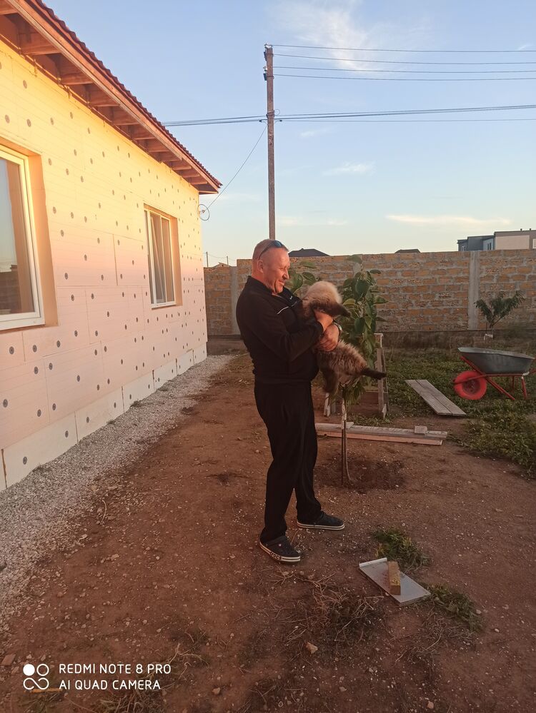  ,   Vladimir, 48 ,     , c 