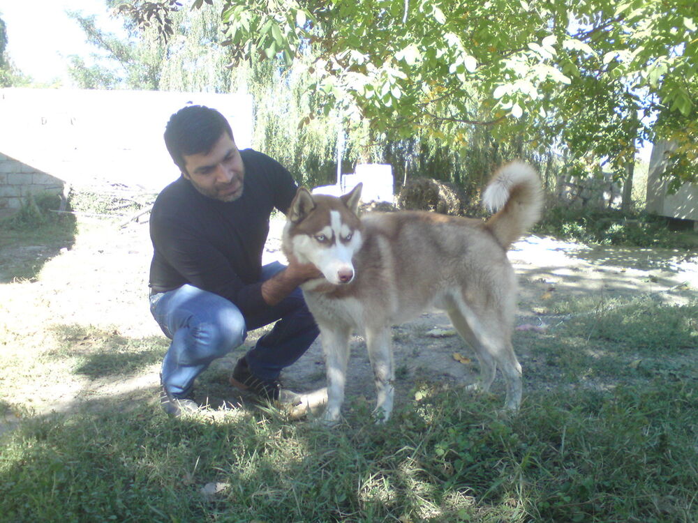  ,   Badri, 46 ,   