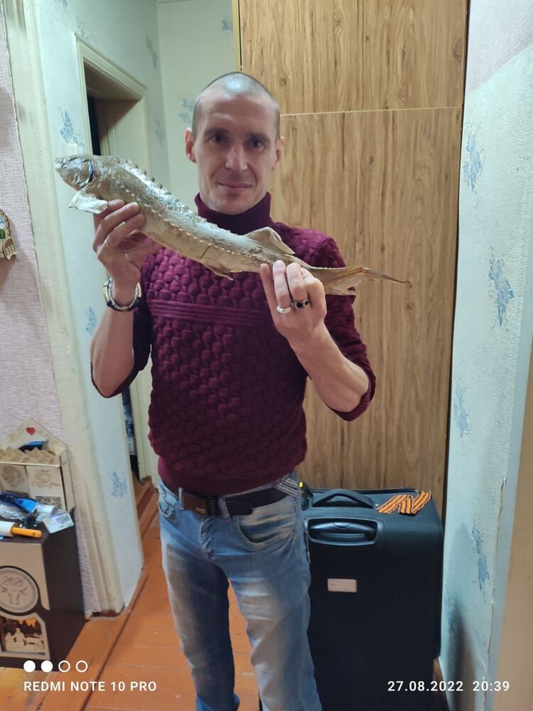  42240071  , 42 ,    -