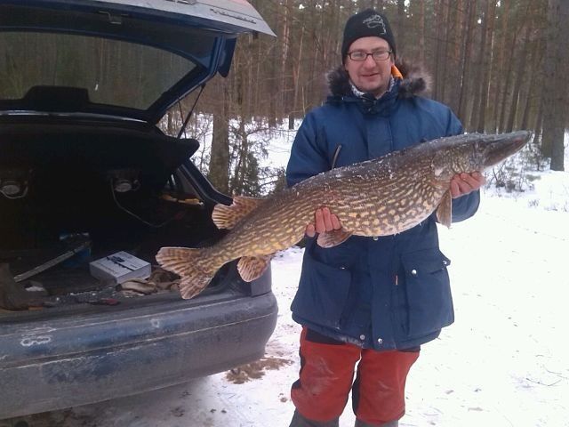 ���� 11251651 ������� ���������, 33 ����, ���� ���������� � ������