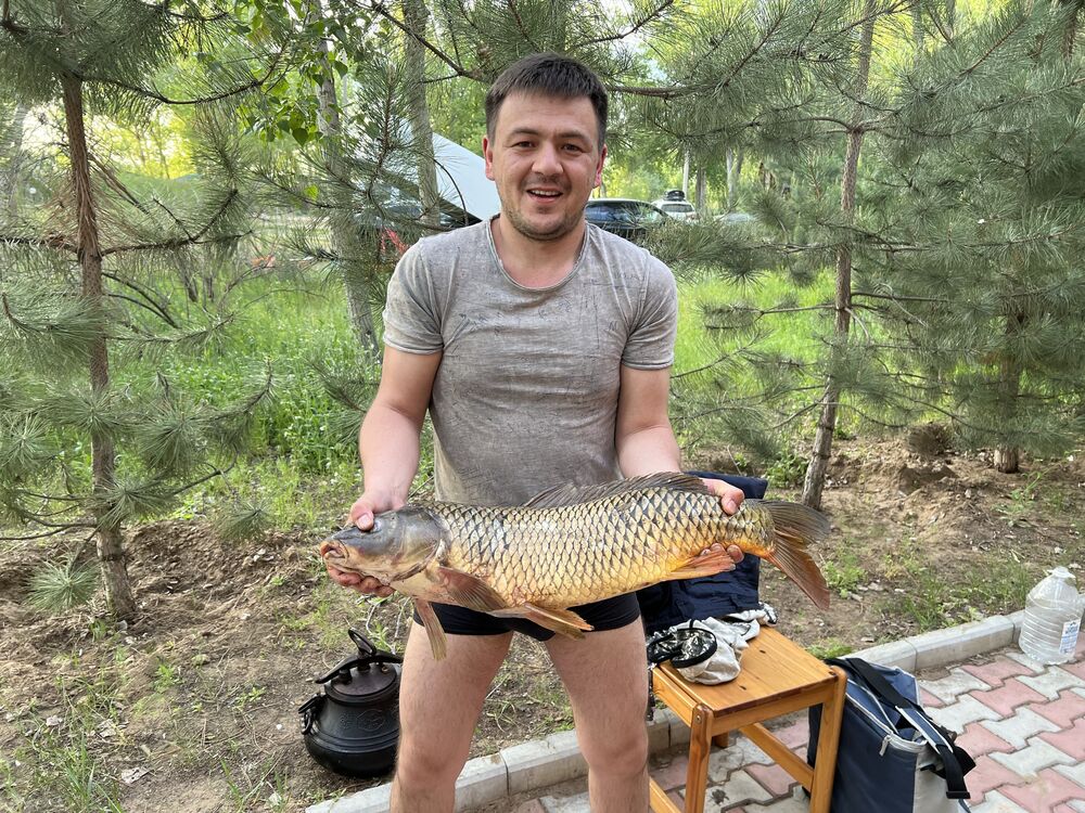 ���� 34633291 ������� ����, 34 ����, ���� ���������� � ������