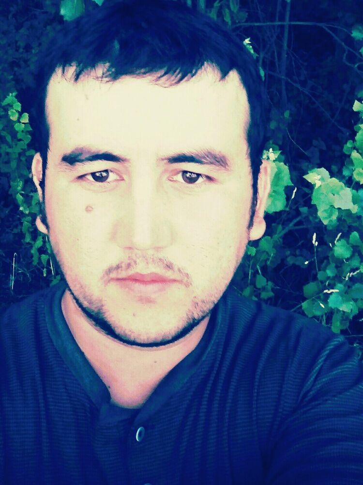  ,   FIRDAVS, 37 ,   ,   , c 