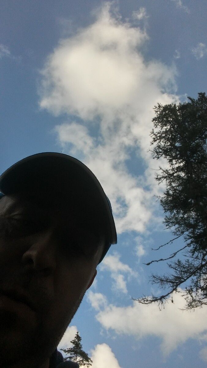 ���� 8910351 ������� Vitali, 48 ���, ���� ���������� � ��������