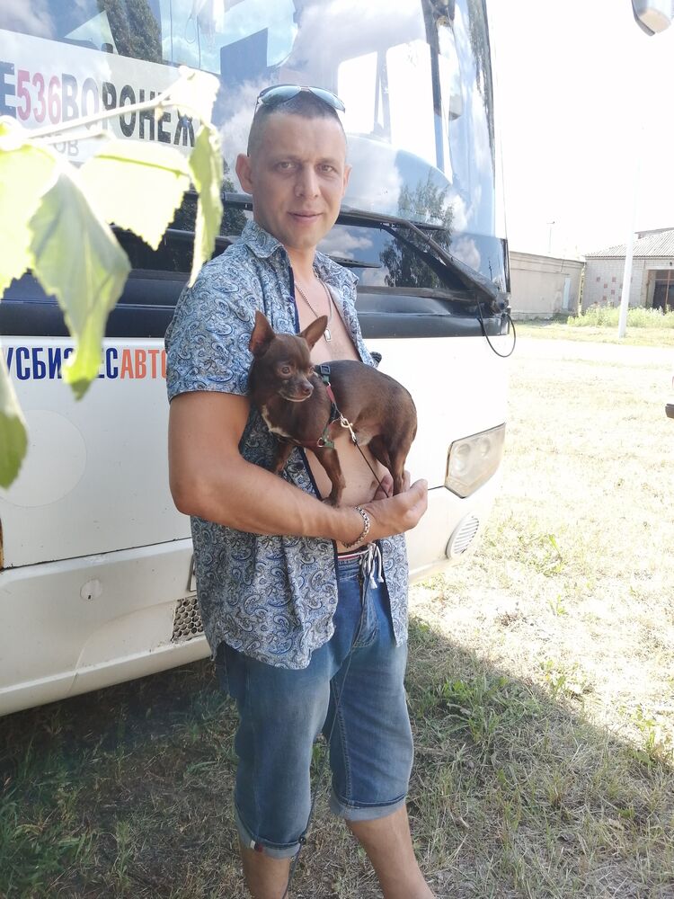 ���� 38568901 ������� ���������, 42 ����, ���� ���������� � ��������