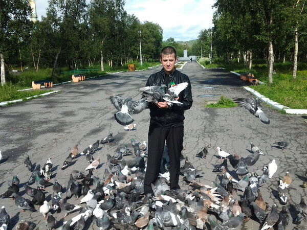 ���� 33973031 ������� ���������, 45 ���, ���� ���������� � ������