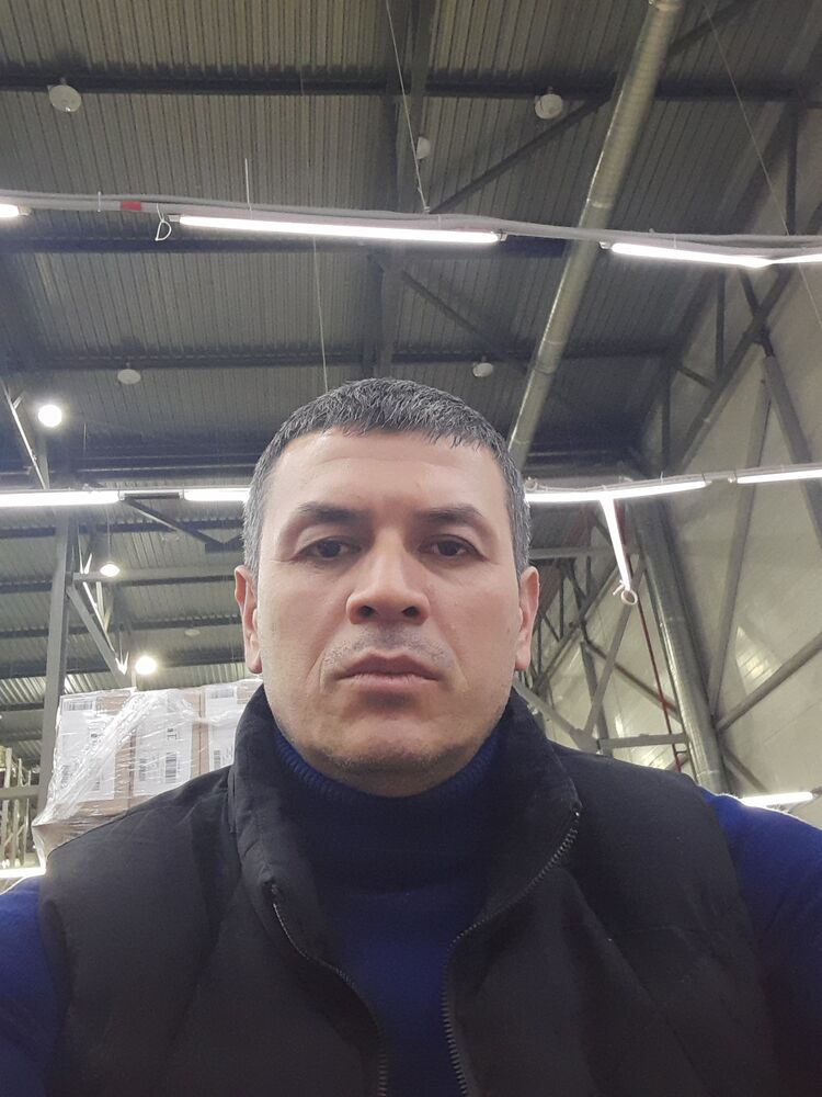  43168801  , 43 ,    