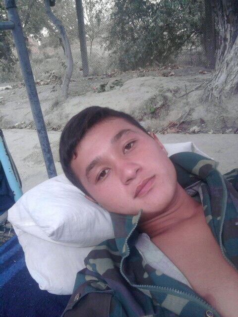  27838831  , 29 ,    -