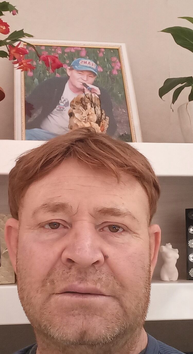  33930311  , 51 ,    -