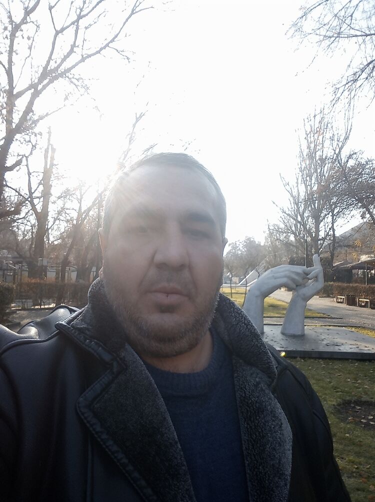 ���� 56038741 ������� ����� ������, 49 ���, ���� ���������� � ����������