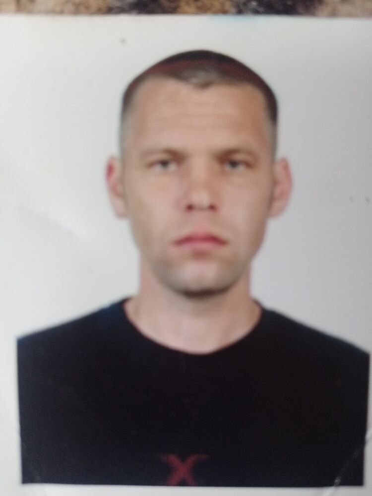  53097381  , 44 ,    
