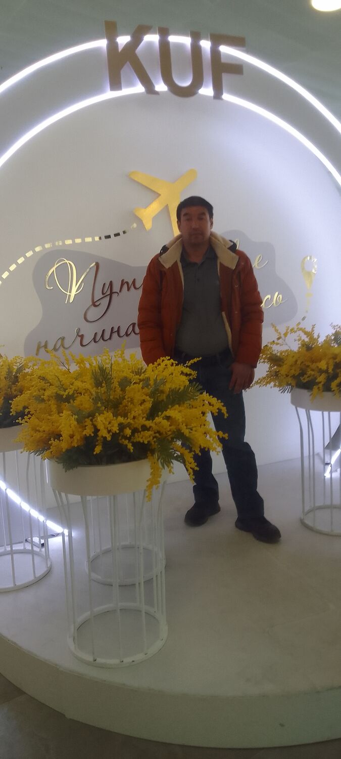  50524121  , 43 ,    -