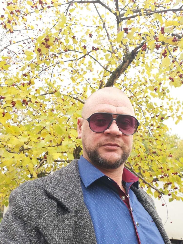  29311811  , 41 ,    -