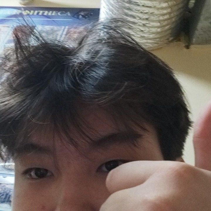 ���� 55055711 ����� ������, 19 ���, ���� ���������� � ������