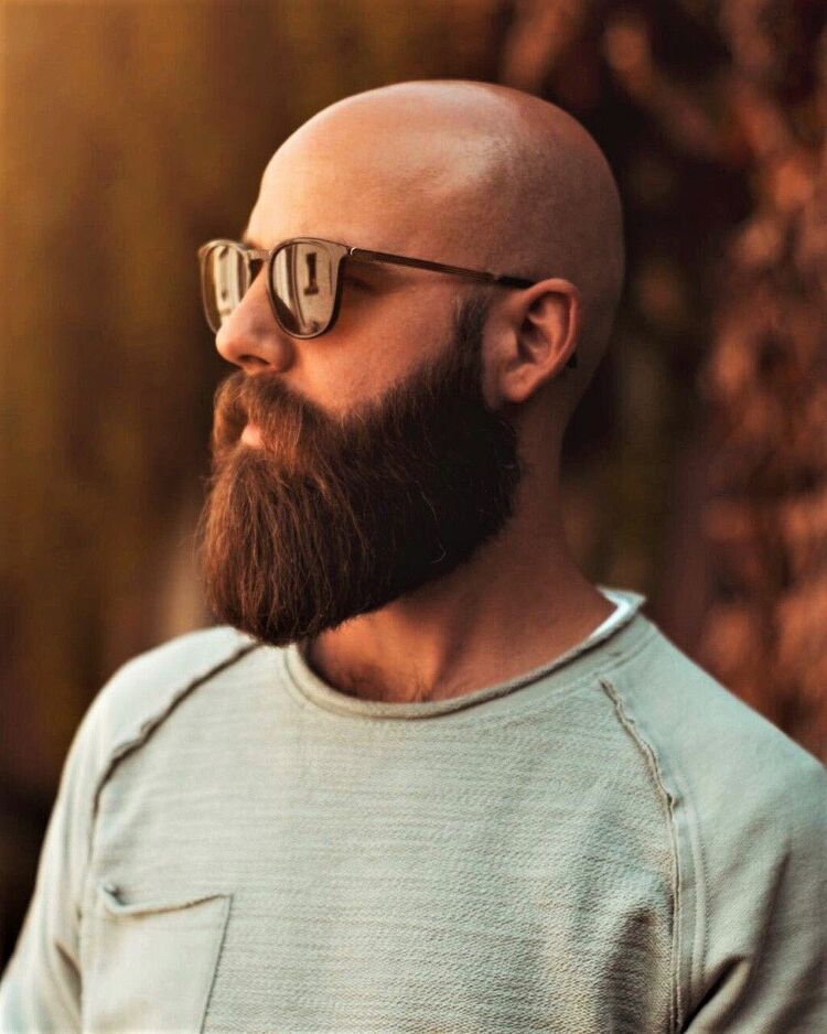 ���� 41177521 ������� �����, 36 ���, ���� ���������� � ������������