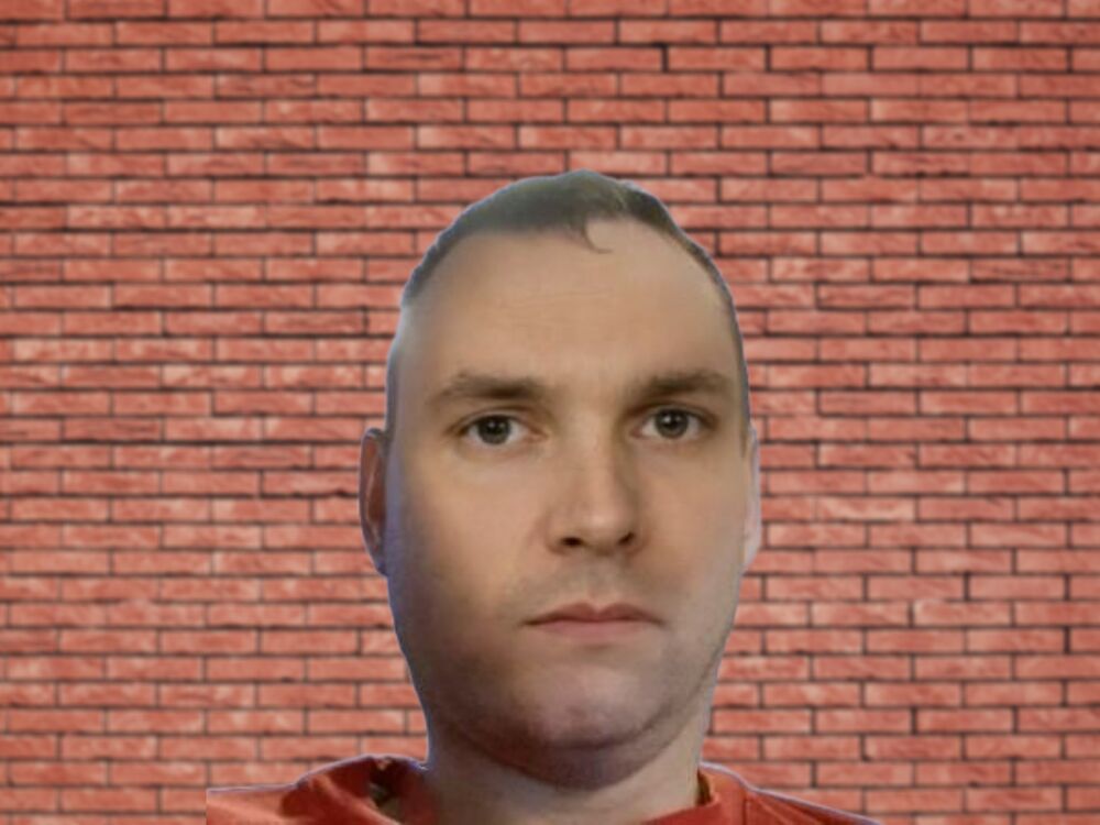  33780581  , 41 ,    
