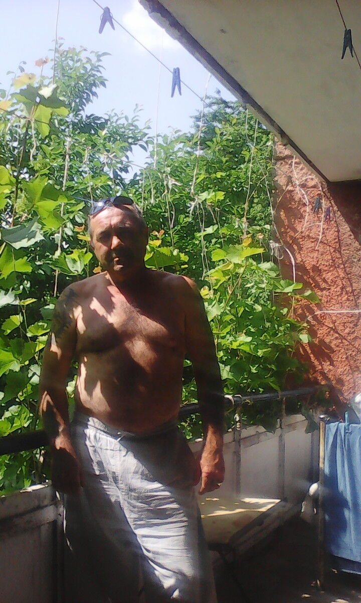  ,   , 62 ,   ,   , c 