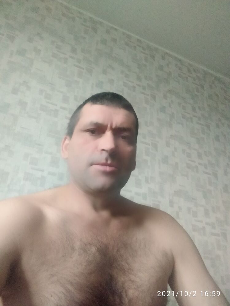  25323881  A, 54 ,    Novy