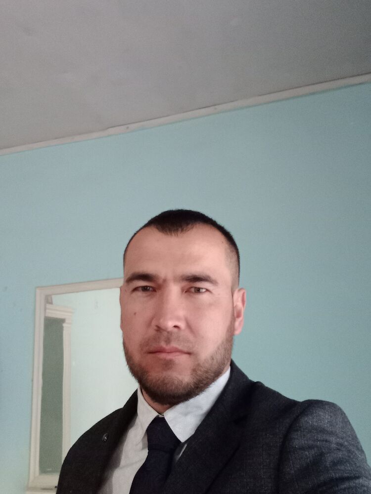  46029041  , 31 ,    