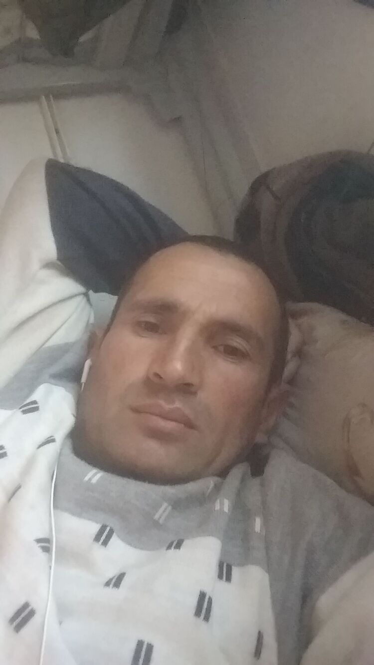 24078761  , 46 ,    