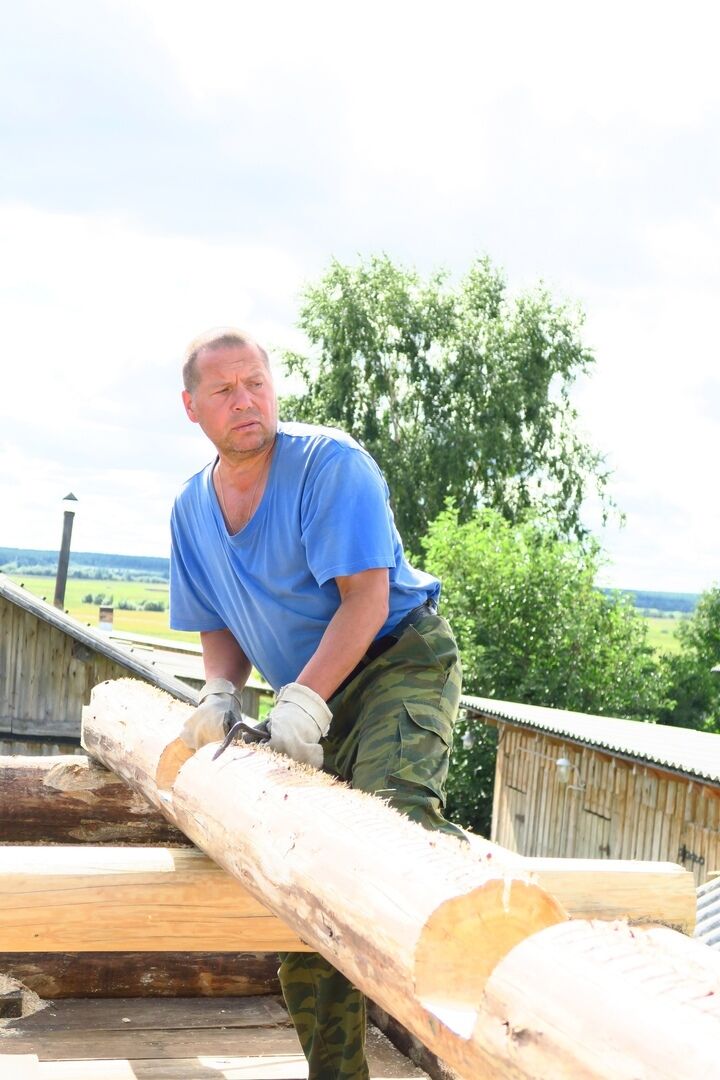 ���� 56103371 ������� ������, 52 ����, ���� ���������� � ������������