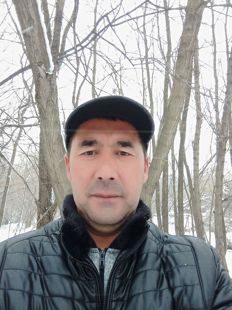  --,   , 51 ,     
