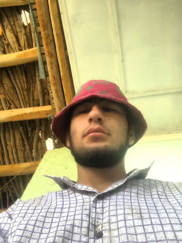  33016591  , 25 ,    
