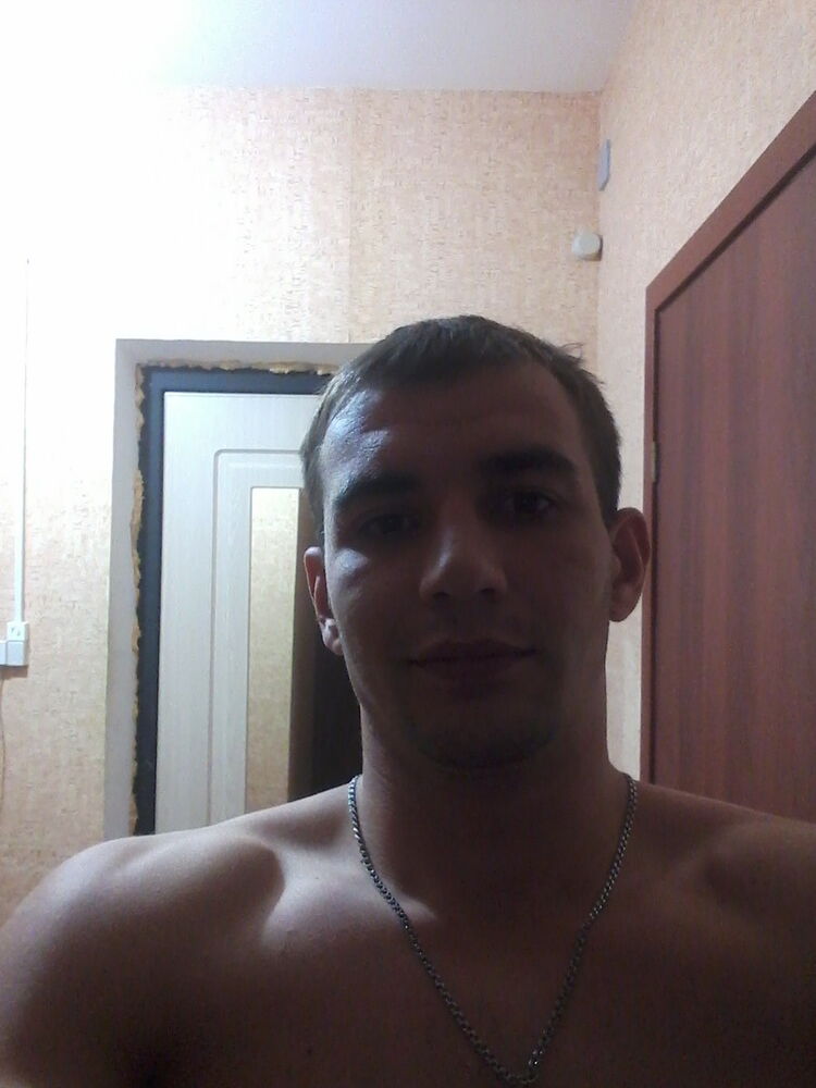  8116511  , 33 ,    