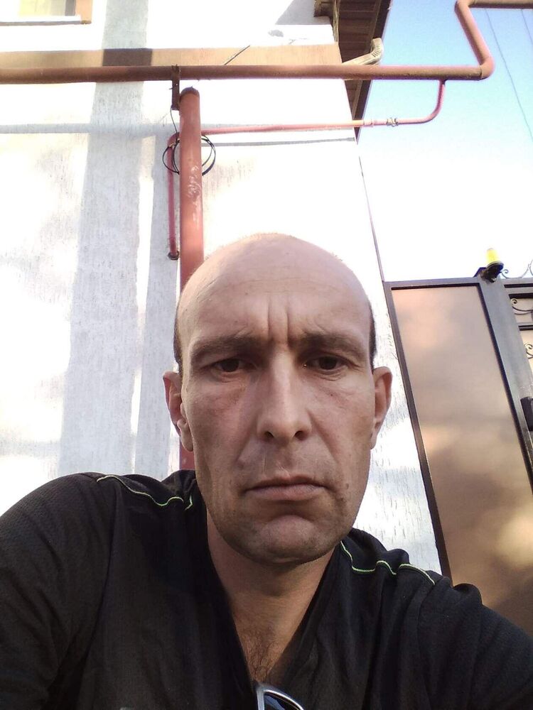  41339181  , 39 ,     