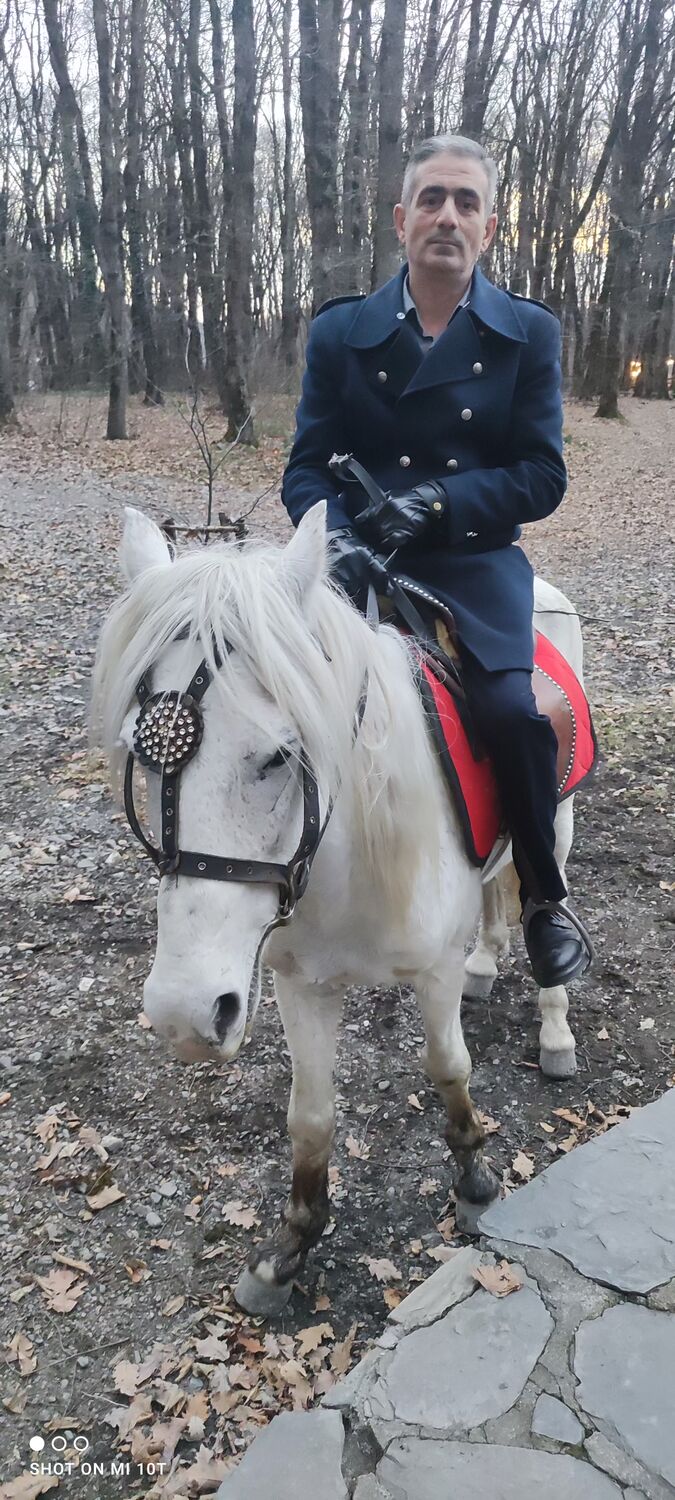 ���� 43275681 ������� Shain, 38 ���, ���� ���������� � ����