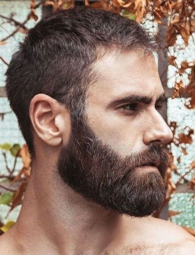  ,   Maxim, 36 ,   ,   