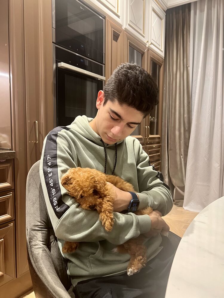 ���� 37586541 ����� �����, 21 ���, ���� ���������� � ������